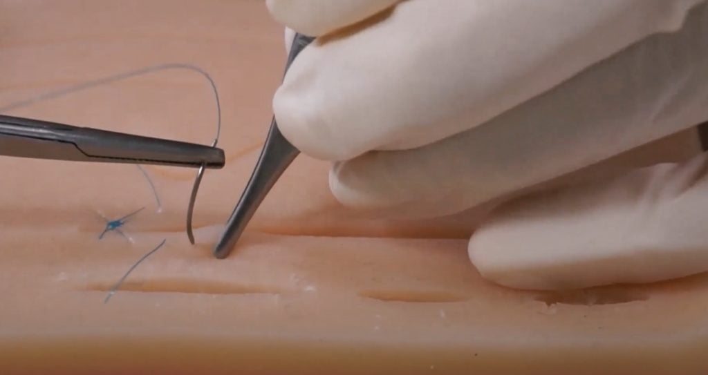 Suture Techniques Course Online - Support Our Vet Clinic in Thailand ...